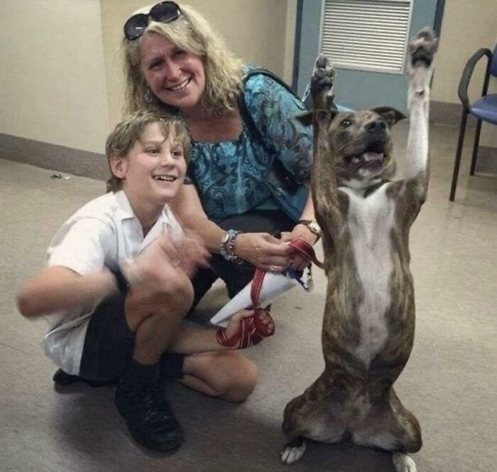 Un perro de refugio celebra su adopción