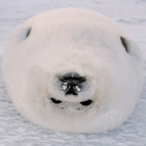 ula_golebiowskaa avatar