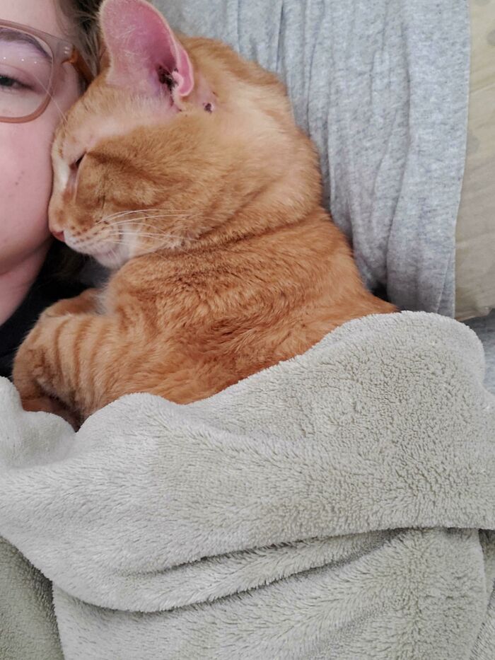 This Is Stinky Boy, He Came Into Our Lives 4 Days Ago In The Rain And Now He Gets As Many Blankets As He Wants