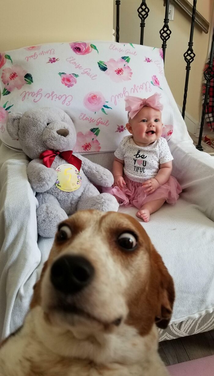 Taking Photos Of My 5-Month-Old Baby And Sammy Got Jealous