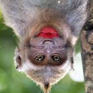 samanthahumes avatar