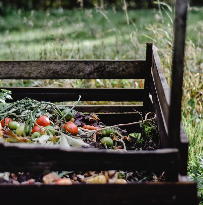 Vegetables In Compost 