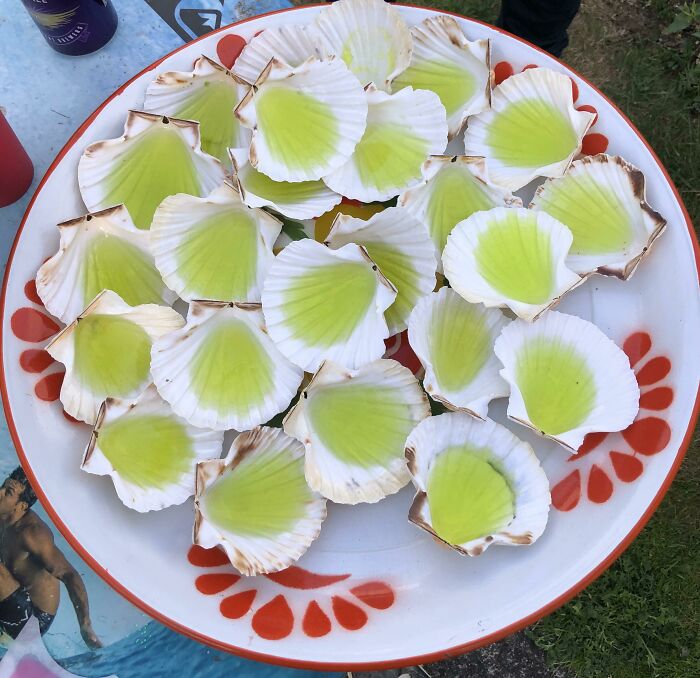 Looks Like I’m Not The Only One Presented With Jello Shots In Shells