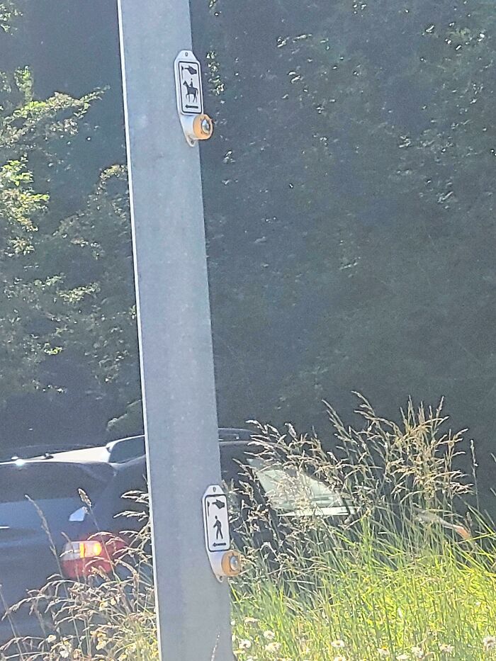 Un botón para cruzar la carretera a caballo