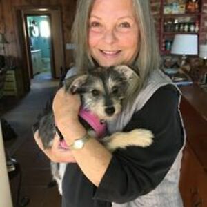 themagpieshome avatar