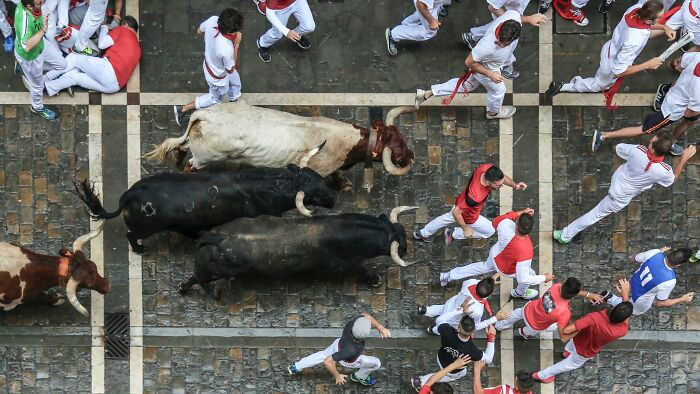 Running Of The Bulls – Pamplona, Spain