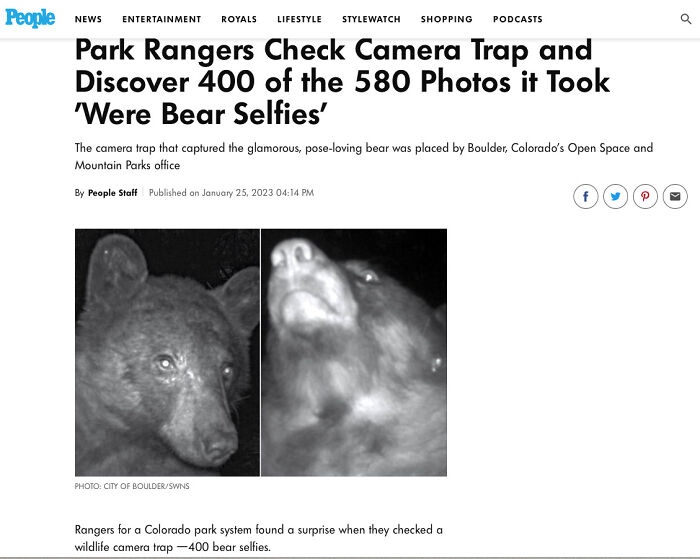 Park Rangers Check Camera Trap And Discover 400 Of The 580 Photos It Took 'Were Bear Selfies'