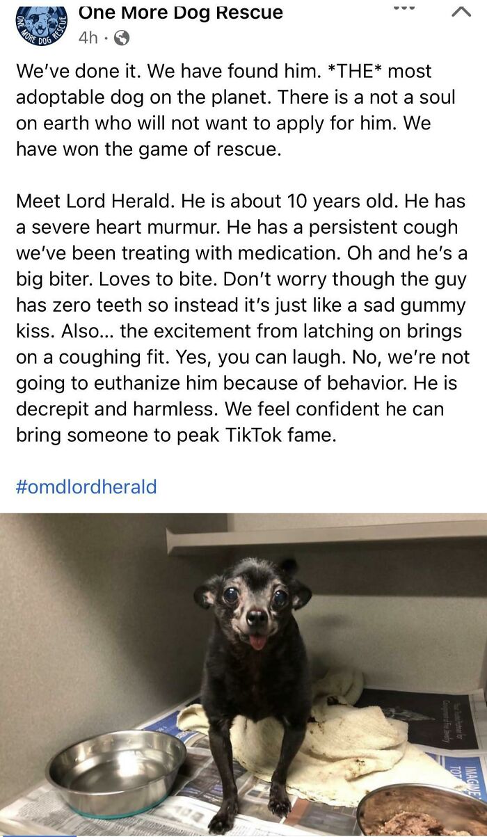 Lord Herald’s Description 😂