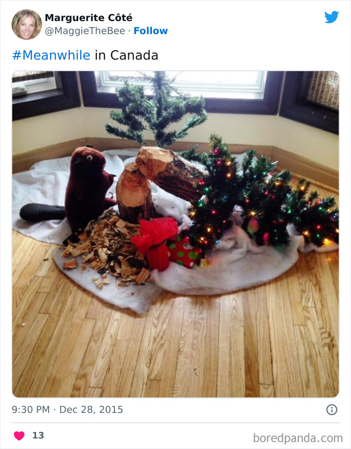 Funny-Canadian-Tweets