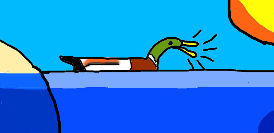 My Duck I Drew