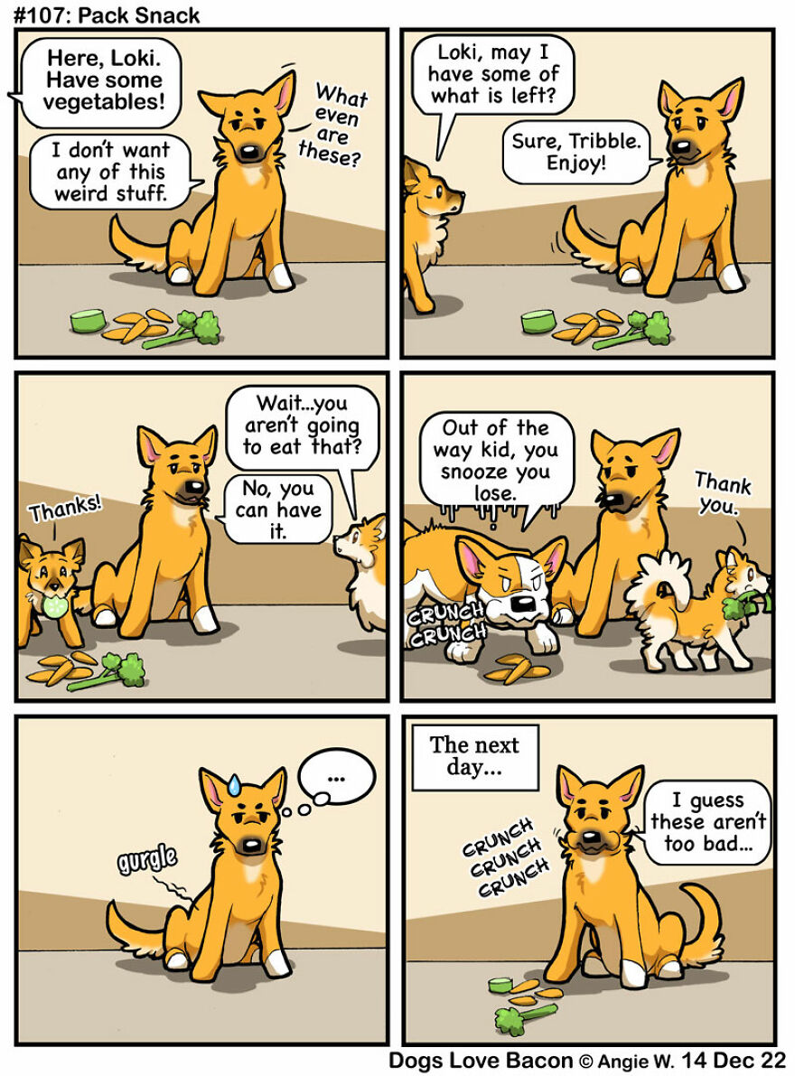 25 Comics That I Drew About The Lives Of My Rescue Dogs!