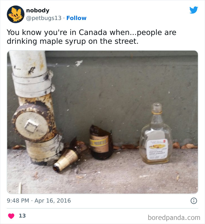 Funny-Canadian-Tweets