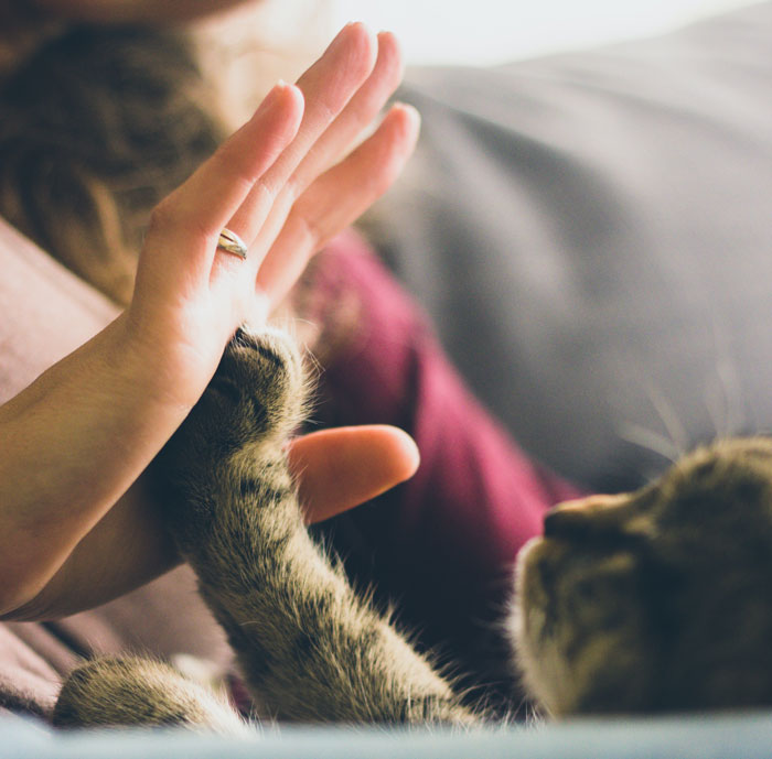Woman Goes Off On Sister, Calls Her A “Crazy Cat Lady That's Going To End Up Alone” For Refusing To Help Her Out Financially Woman Goes Off On Sister, Calls Her A “Crazy Cat Lady That's Going To End Up Alone” For Refusing To Help Her Out Financially