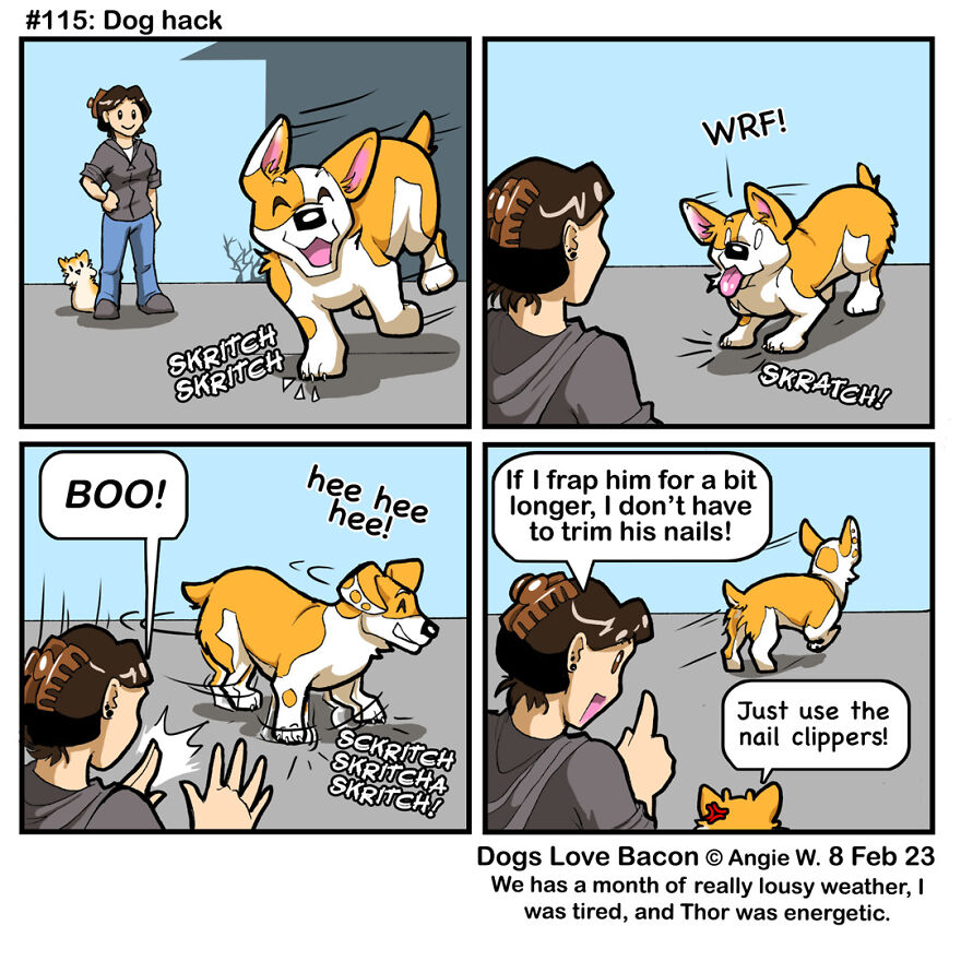 25 Comics That I Drew About The Lives Of My Rescue Dogs!