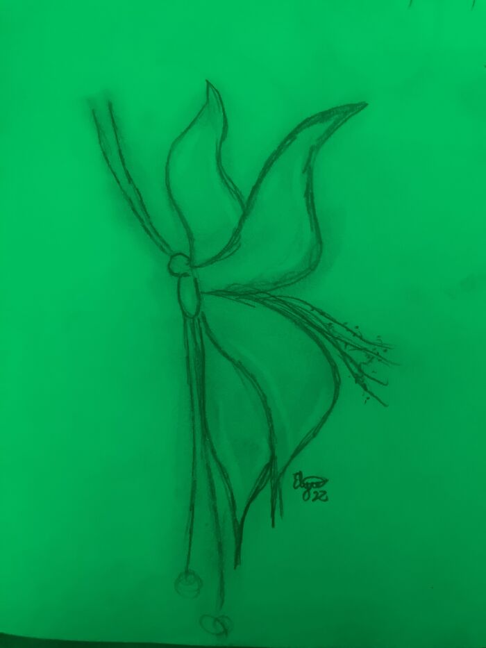 This Random Butterfly I Drew In Math 🦋