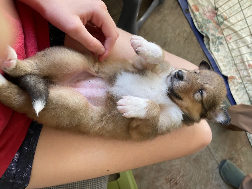 Hey Pandas! Here Are Some Photos Of My Summer Last Year On A Farm!