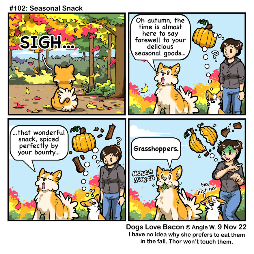 25 Comics That I Drew About The Lives Of My Rescue Dogs!