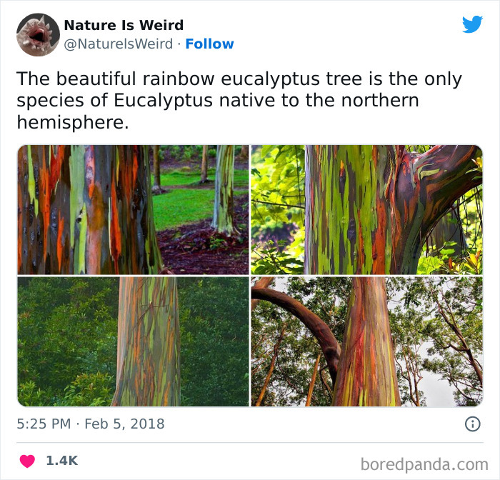 Weird-Interesting-Nature-Facts-Pics