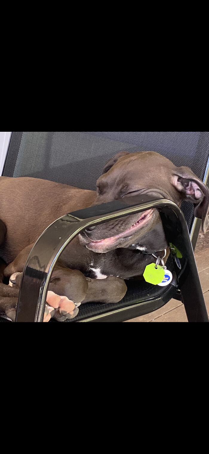 Makes Me Laugh Every Time