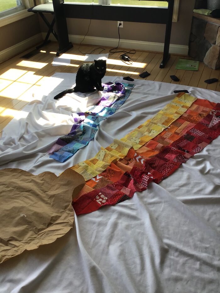 She Rolled Around And Shed On The Quit I Was Piecing…