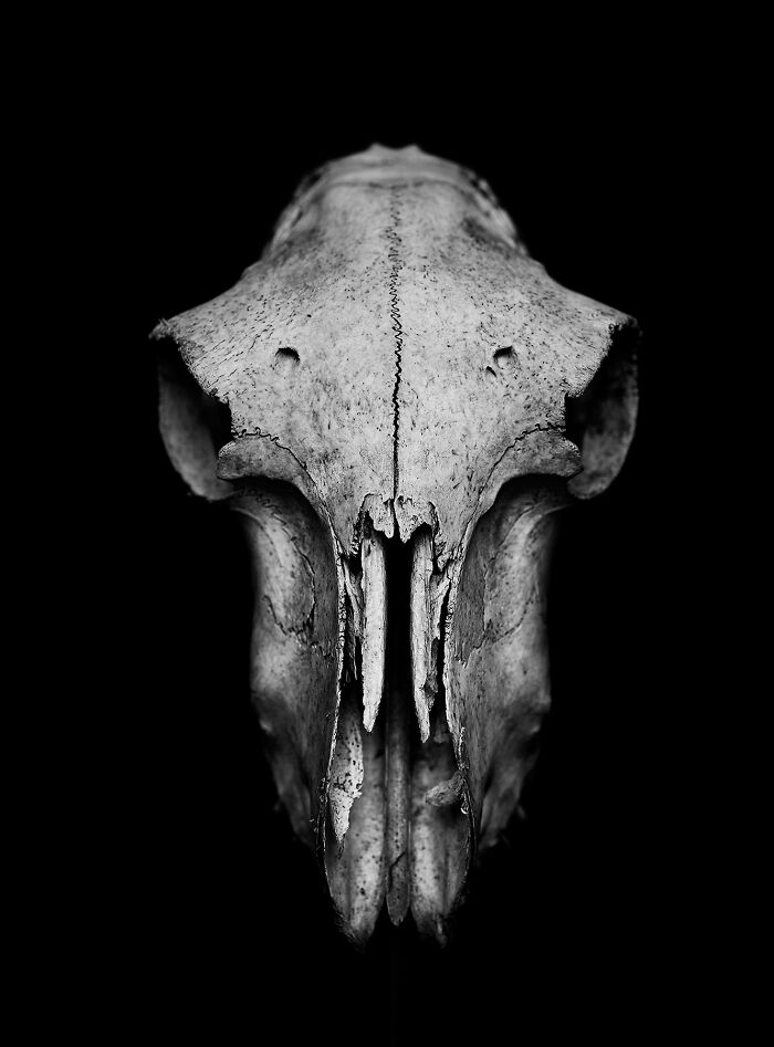 From "The Shadow Line" Series By Michal Korta ©