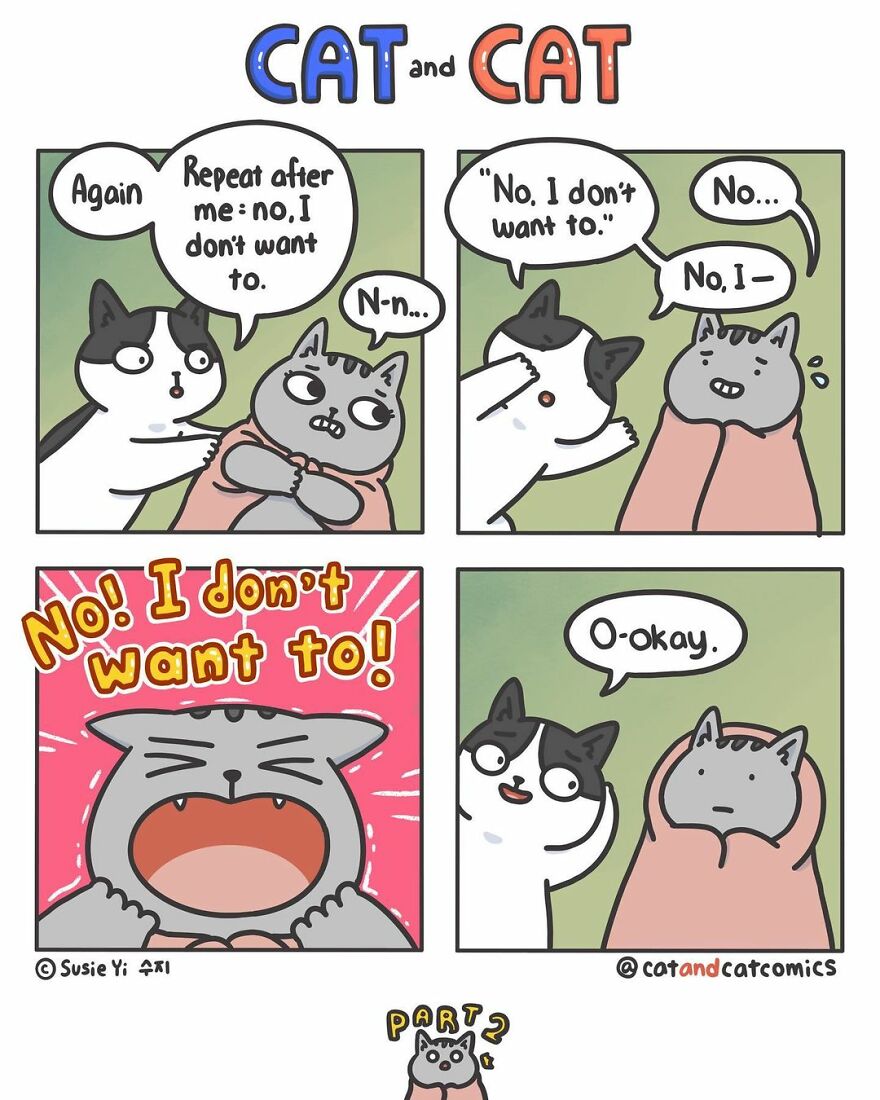 Artist Illustrates Hilarious Comics About The Lives Of Cats