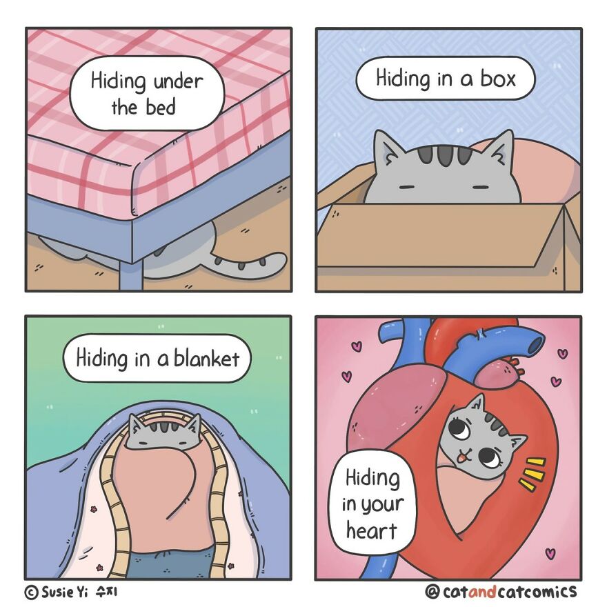 Artist Illustrates Hilarious Comics About The Lives Of Cats