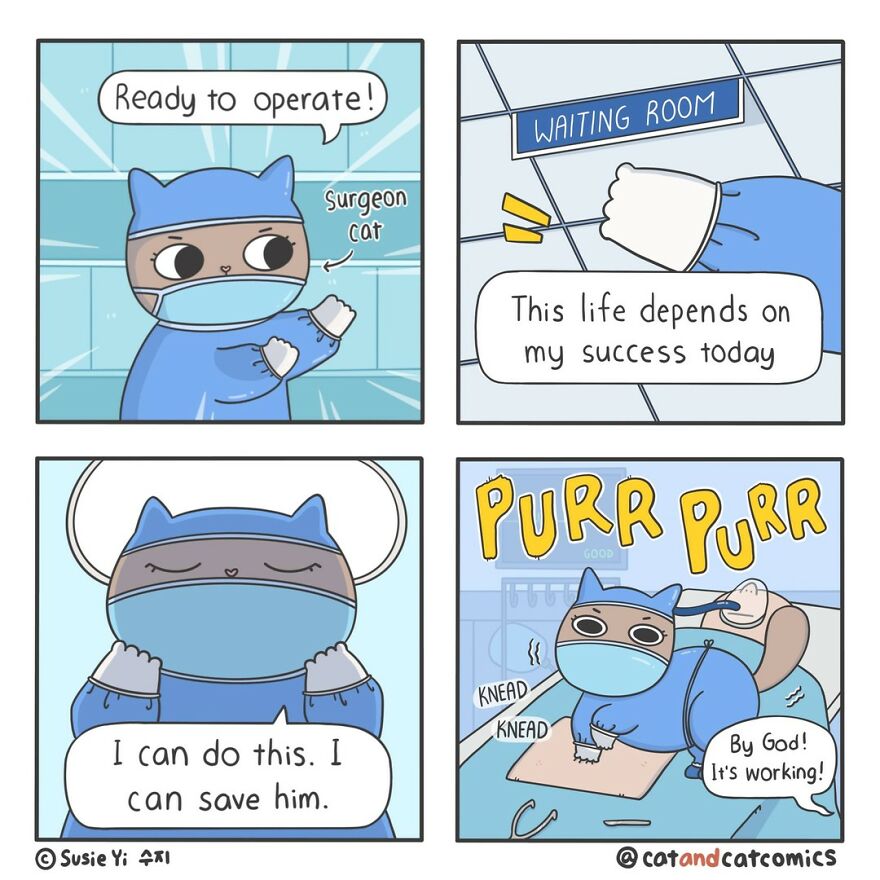 Artist Illustrates Hilarious Comics About The Lives Of Cats