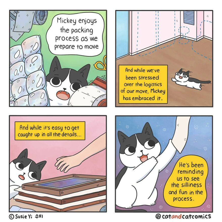 Artist Illustrates Hilarious Comics About The Lives Of Cats