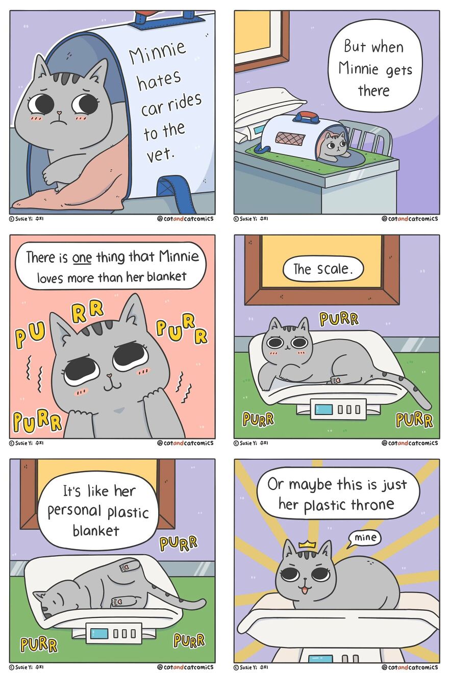Artist Illustrates Hilarious Comics About The Lives Of Cats