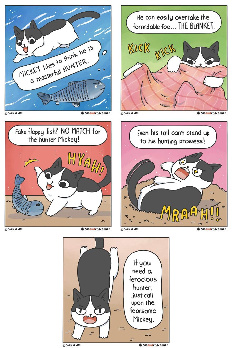 Artist Illustrates Hilarious Comics About The Lives Of Cats