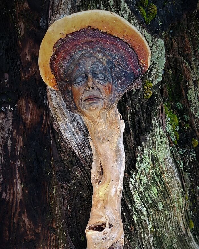 Artist Uses Driftwood To Create Stunning Sculptures (New Pics)