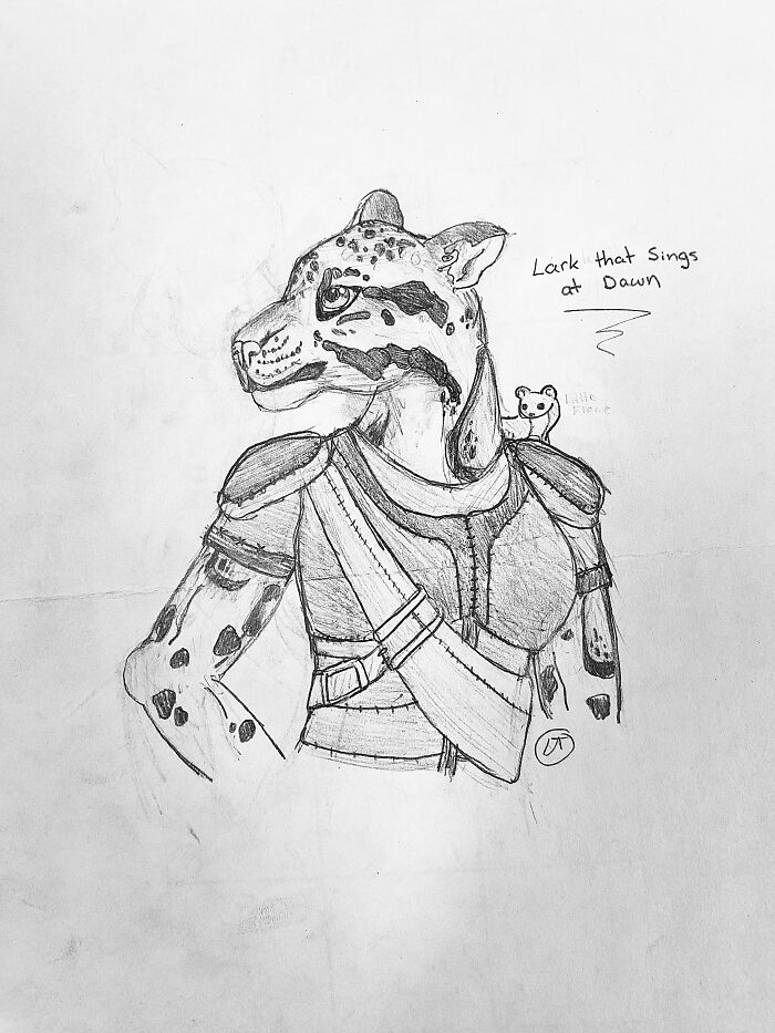 Lark That Sings At Dawn (Lark), My Tabaxi Rogue