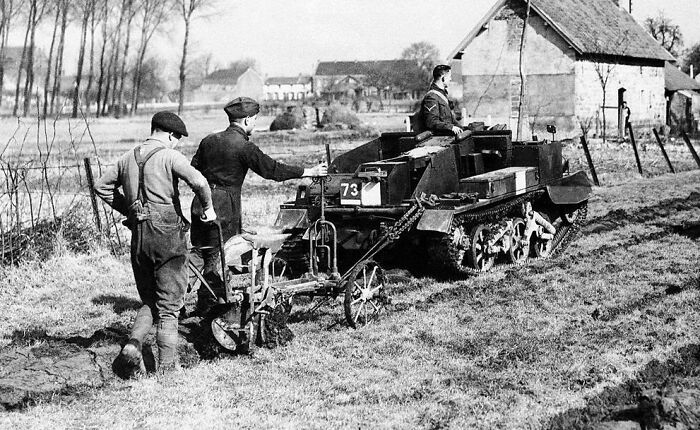 The Royal Irish Fusiliers Of The British Expeditionary Forces Come To The Aid Of French Farmers Whose Horses Have Been Commandeered By The French Army. A Tank Is Hitched To A Plow To Help With The Spring Tilling Of The Soil On March 27, 1940