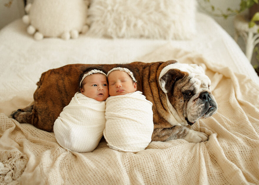 I Photographed Newborn Twins (10 Pics)