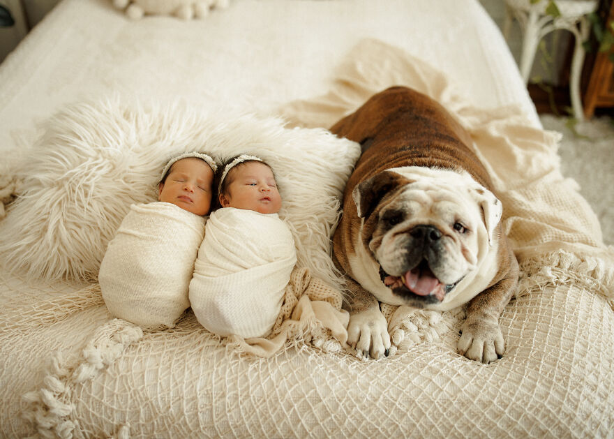 I Photographed Newborn Twins (10 Pics)