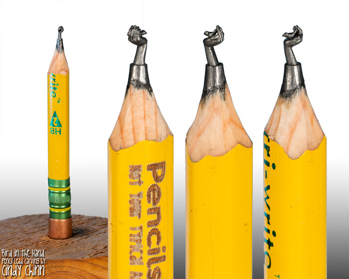 "A Bird In The Hand" - Just A Tiny Bird In A Tiny Hand!