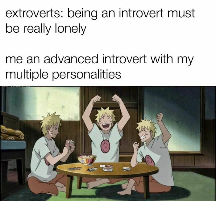 Funny-Daily-Introvert-Memes