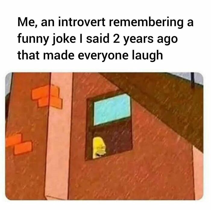 Funny-Daily-Introvert-Memes