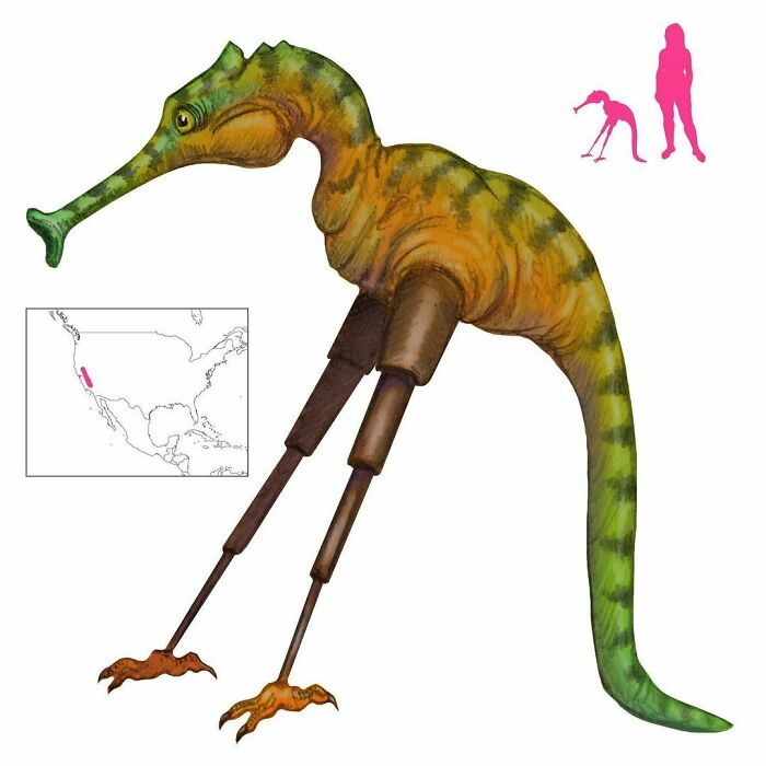 The Tripodero Has Telescopic Legs That Let It Stand Tall Or Crawl Through Underbrush. It Stores Clay Slugs In A Cheek Pouch, And Fires Those Slugs At High Speed To Knock Out Its Prey