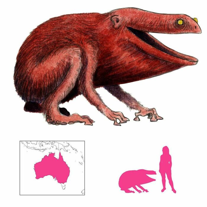 The Yara-Ma-Yha-Who Is A Nasty Creature From Australian Aboriginal Folklore That Drains Blood With Its Sucker-Tipped Limbs. It Then Swallows Its Victims Whole And Regurgitates Them Smaller And Redder. Eventually Its Victims Also Become Yara-Ma-Yha-Whos After Being Swallowed And Regurgitated Enough Times