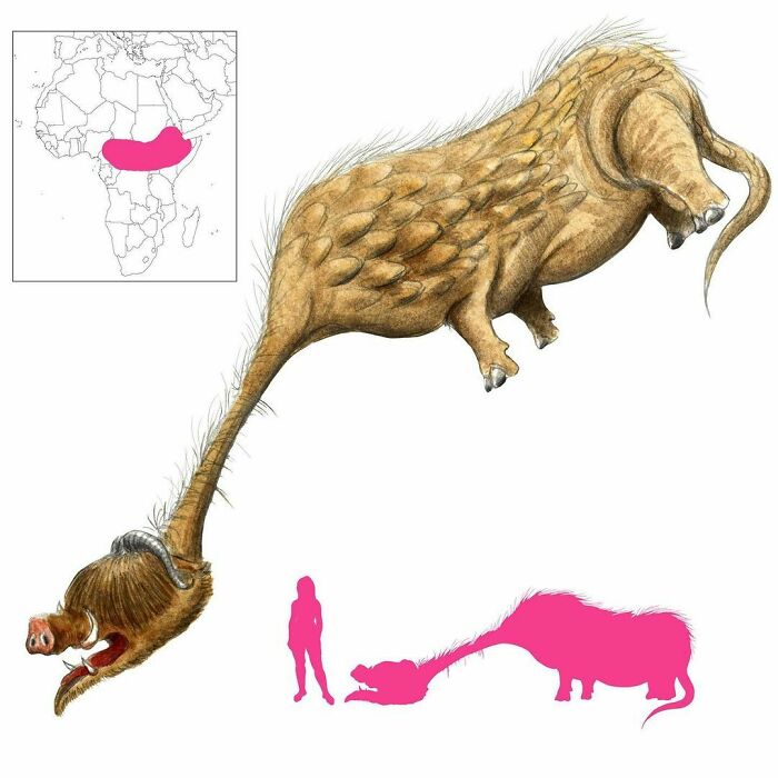 The Catoblepas Is A Hideous Creature From Ethiopia. Its Head Is So Heavy It Drags Along The Ground, Which Is Good Because Its Very Gaze Is Letha