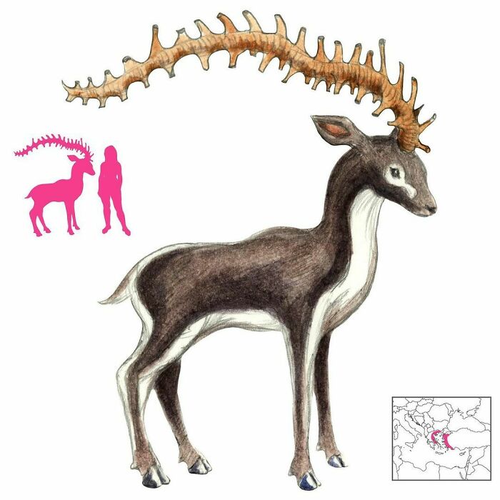 The Shadawar, Shad-Hawar, Shadhahvar (Or Any Of A Number Of Spellings) Is An Antelope With A Single, Hollow, Branching Horn. When Wind Goes Through That Horn, It Produces Beautiful Music. It May Be Found Around Greece And Byzantium. It Is (Unjustly) Accused Of Eating People