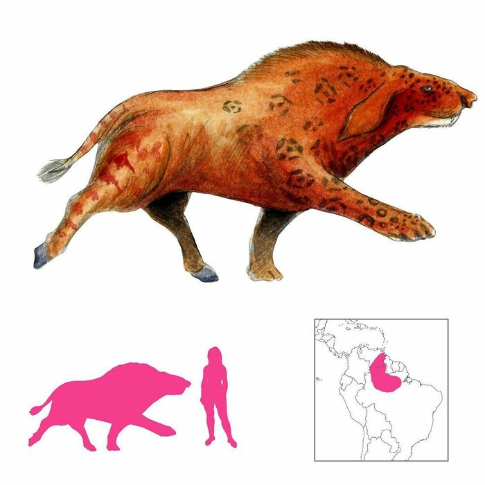 The Tapire-Iauara Or Tapir Nymph Is A Sort Of Large Jaguar With A Reddish Waterproof Coat And Some Ungulate Features. It Has Long Dangling Ears And A Horrible Stench - In Fact It Stinks So Hard It Can Take Away Someone’s Shadow, Leaving Them Soulless
