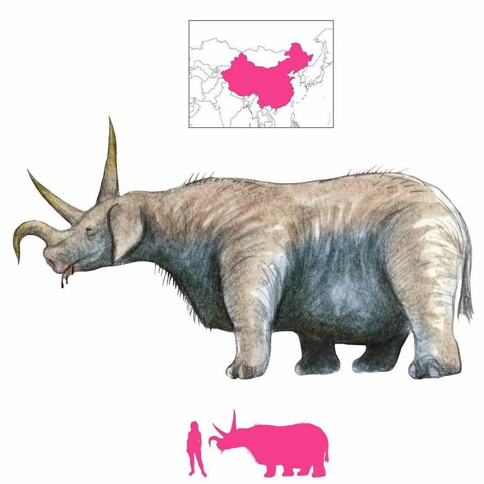 The Xi Is A Three-Horned Chinese Creature That Looks Like A Black Buffalo With Elephant’s Feet And A Pig’s Head. It Feeds On Brambles And Often Drools Blood