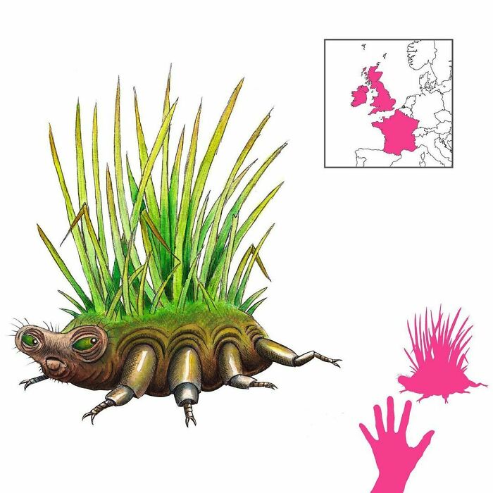 The Stray Sod Is A Common Element Of British And French Fairy Folklore. It Is A Plant Or Clump Of Plants That, When Stepped On, Causes The Traveler To Lose Their Way. It Can Be Foiled By Turning Your Coat Inside Out, Or Using Certain Herbs That Counteract The Ill Effect