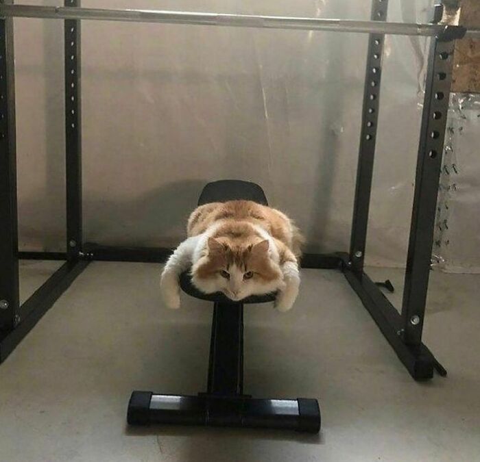 Funny-The-Snuggle-Is-Real-Pics