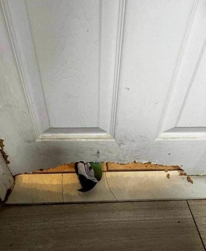 Funny-The-Snuggle-Is-Real-Pics