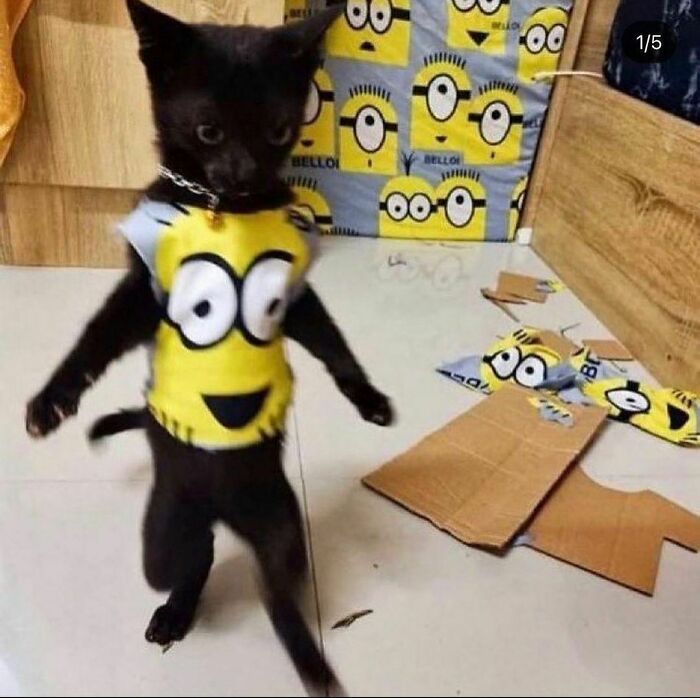 Funny-The-Snuggle-Is-Real-Pics