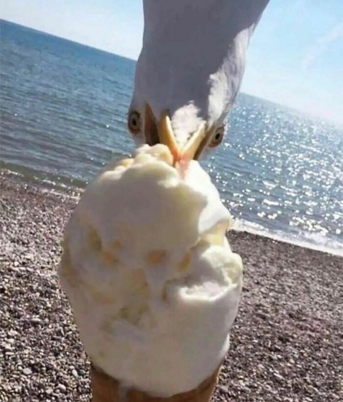 Funny-The-Snuggle-Is-Real-Pics